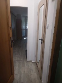 Mieszkanie do wynajęcia od 1. września