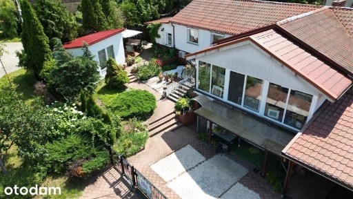 Dom pełen obrazów przy Lipowej