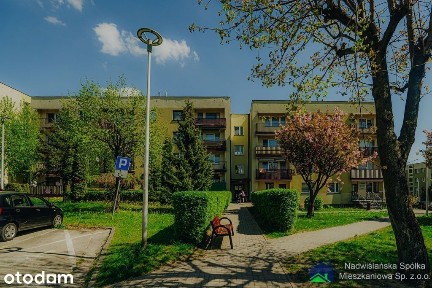 Mieszkanie w Bieruniu do wynajęcia, bez odstępnego