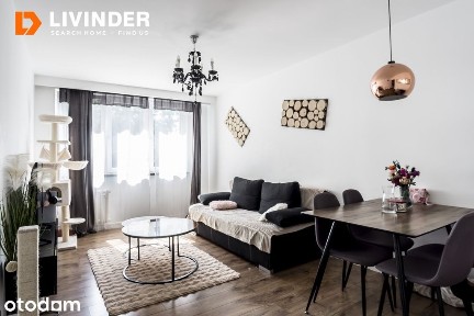 28 m² | Dąbie | Gotowiec inwestycyjny