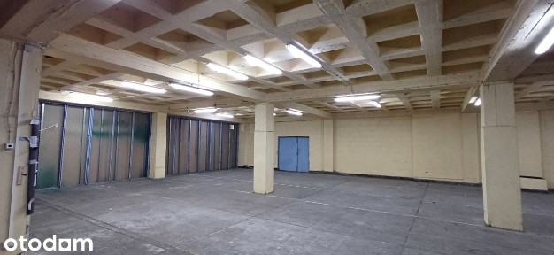 Ptasia, Pogoń, Sosnowiec, śląskie