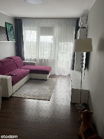 Przytulna kawalerka przy Królikarni
