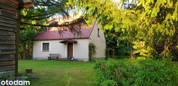 Urokliwe siedlisko w Małym Głęboczku pod Brodnicą