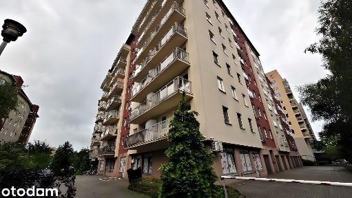 Przestronny lokal usługowy 234,57 m²