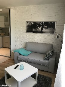 Kawalerka na wynajem, Poznań - Dębiec, ul. Gruszkowa