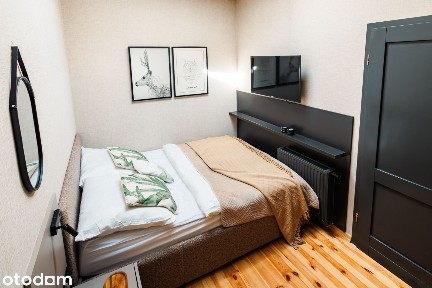 Apartament premium do wynajęcia