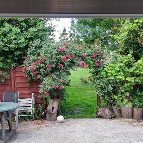 Sprzedam dom po remoncie-gotowy do zamieszkania
