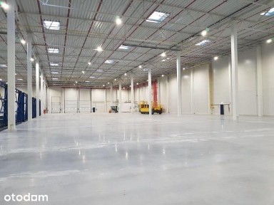 Hala/Magazyn, 2 400 m², Lublin