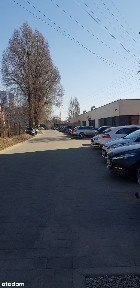 Lokal biurowy na parterze z klimatyzacją