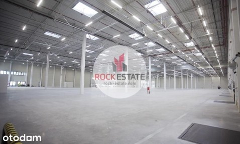 Magazyn od 3000 m2 do wybudowania Kraków - 0% prow