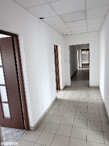 Hala/Magazyn, 700 m², Kalisz