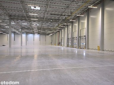 Nowy magazyn na wynajem/ 12 000 m2/ Robakowo