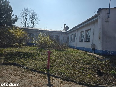 Lokal 150 m2 biurowo- handlowy