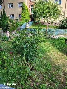 ul. Seweryna Goszczyńskiego, Pogodno, Zachód, Szczecin, zachodniopomorskie