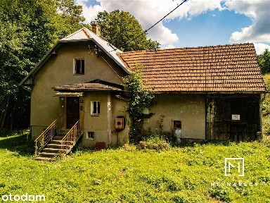 Dom | ponad 1ha terenu | zielona okolica