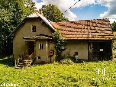 Dom | ponad 1ha terenu | zielona okolica