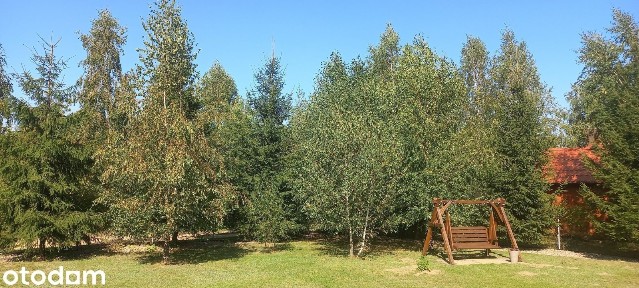 Klimatyczny drewniany domek przy lesie