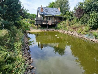 Sprzedam posiadłość nowoczesny dom 160 m2,i działa 8900m2i dz