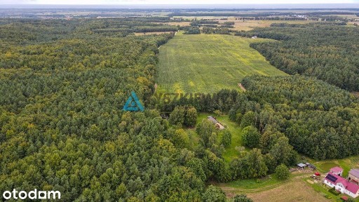 Urokliwy dom w Porąbie z własnym stawem