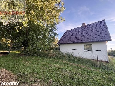Dom + budynek gospodarczy na dużej działce w ciche