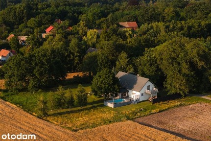 Dom | 3981 m² działki | Basen | Wilkowa
