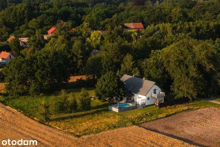 Dom | 3981 m² działki | Basen | Wilkowa