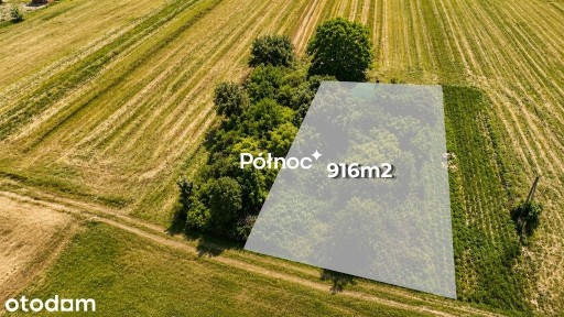 Siedlisko 9 ar | 16 km od Zamościa | woda i prąd