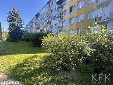 Dwa mieszkanie 2-pokojowe,ul.Gagarina przy Umk