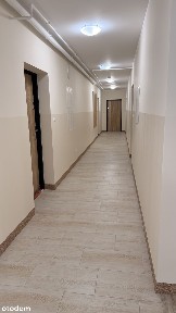 ul. Kliny, Ślesin, koniński, wielkopolskie