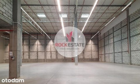 Magazyn 4624 m2 - k. Poznania - 0% prowizji