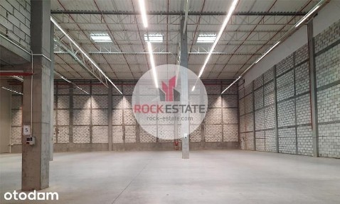 Magazyn 4624 m2 - k. Poznania - 0% prowizji