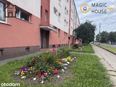 2 pokoje | Przeróbka | 41,3 m² | potencjał na 3