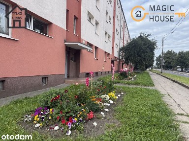 2 pokoje | Przeróbka | 41,3 m² | potencjał na 3