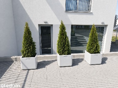 Kameralny lokal biurowy 25m2 |Gdańsk Morena| Spokojne miejsce do pracy
