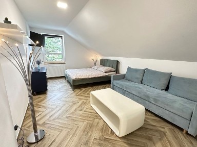 Przestronne studio z osobną kuchnią i salonem/sypialnią - Krzywoustego