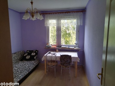 Wynajmę studentom mieszkanie trzypokojowe 72m2