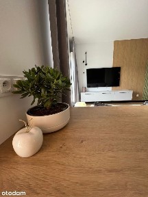 Wynajmę mieszkanie! Bronowice - dostępne od końca września
