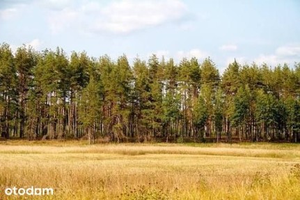 Nowoczesny dom wolnostojący z dużym ogrodem