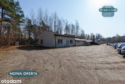 Dochód od zaraz - dziewiarnia z wyposażeniem