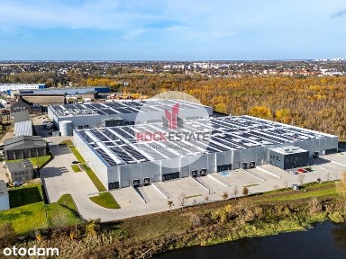 Luboń - magazyn 766 m2 na wynajem bez koszt. eksp