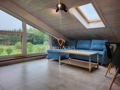 Loft na poddaszu z klimatyzacją - Wilkowyja