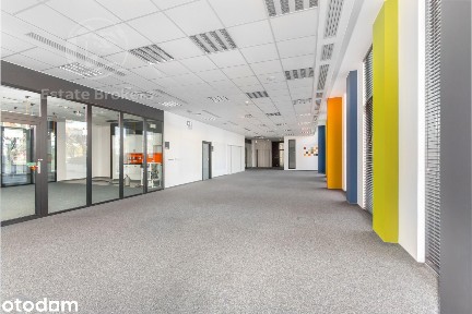 Lokal pod działalność edukacyjną - Plac Grunwaldzki