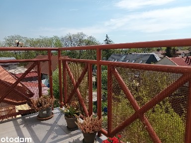 Tylko ostatnia Sobota Sierpnia