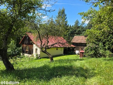 Siedlisko na końcu drogi - 93 ary prywatności w otoczeniu lasu