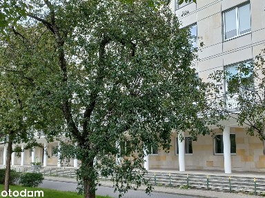 Centrum kamienica zieleń metro balkon winda przestrzeń Łazienki Król.