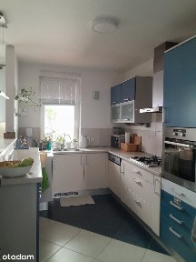 wynajmę ładne mieszkanie 3 pokoje 67,5m2
