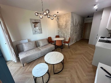 Wynajmę nowe mieszkanie premium w śćisłym centrum Katowic