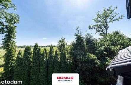 Dom wolnostojący z ogrodem 791 m² | Koninko |
