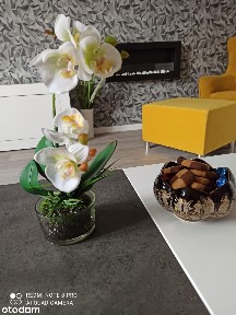 Przestronne mieszkanie w spokojnej dzielnicy