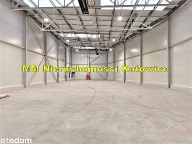 Hala Katowice przy A4 z biurami i pom socjalnymi